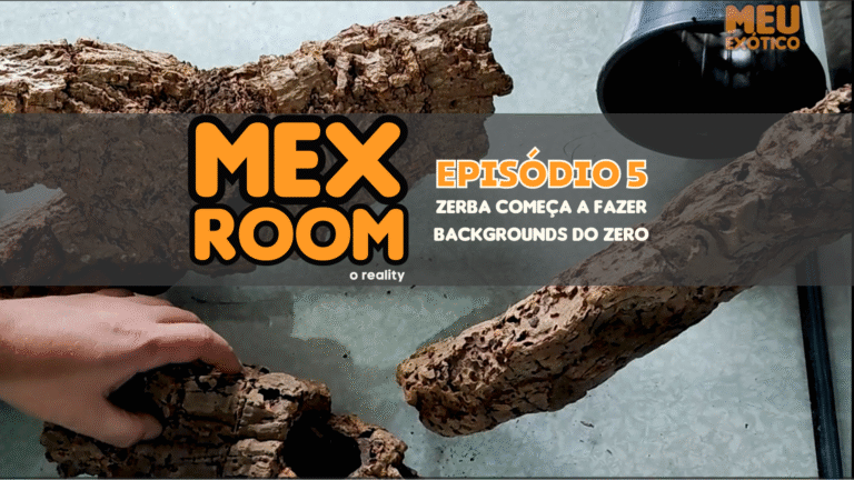 MEXRoom, o reality! Episódio 5: Zerba começa a fazer backgrounds do zero