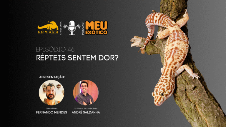 Répteis sentem dor?