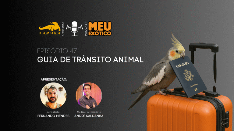 Quando e por que solicitar o GTA para répteis e outros animais exóticos?