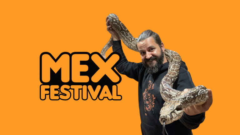 MEXFestival: um encontro inédito