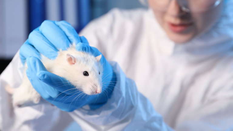 Pesquisa demonstra que boas práticas de manejo e abate contribuem para o bem-estar animal e para a qualidade nutricional das presas