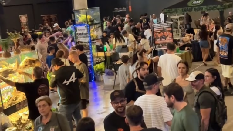 3ª edição do MEXFestival foi movimentada o dia todo